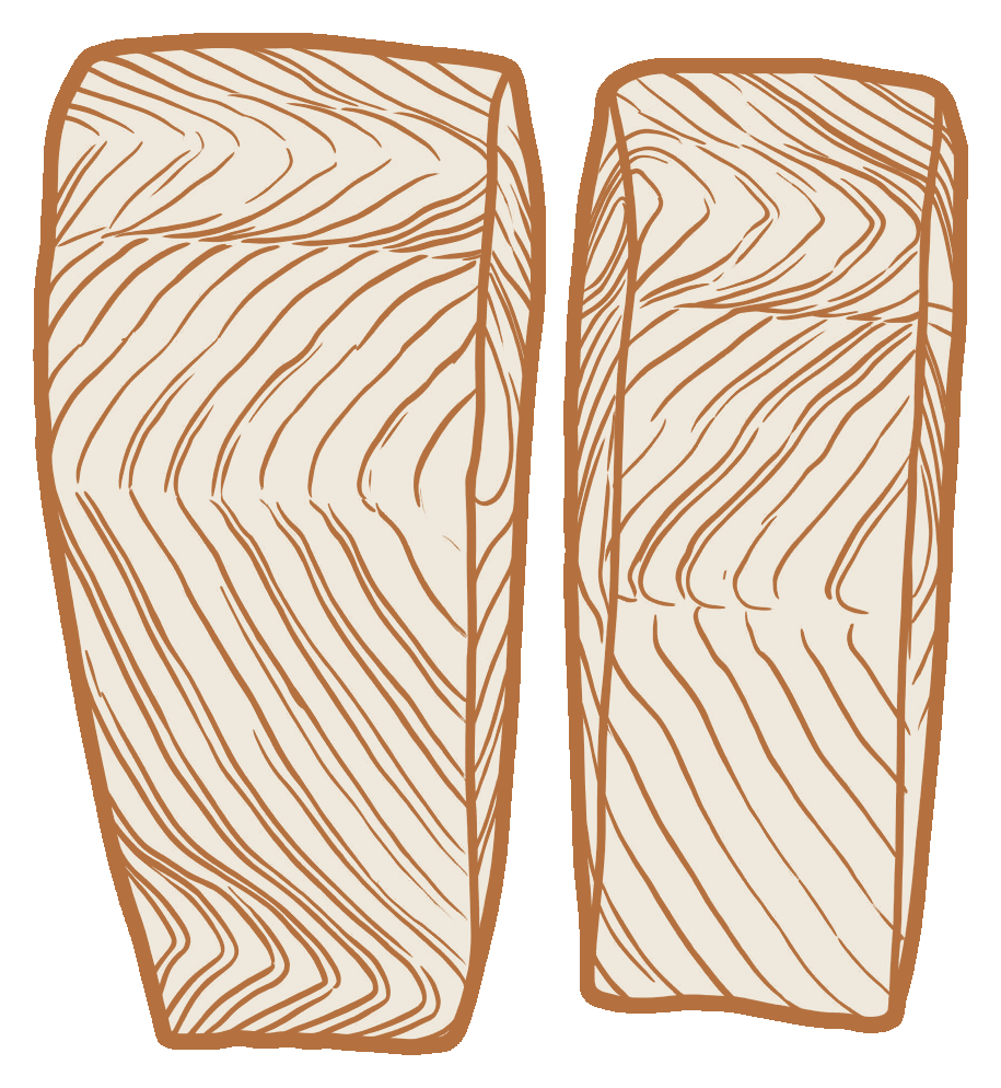 Pavés de saumon vus du dessus